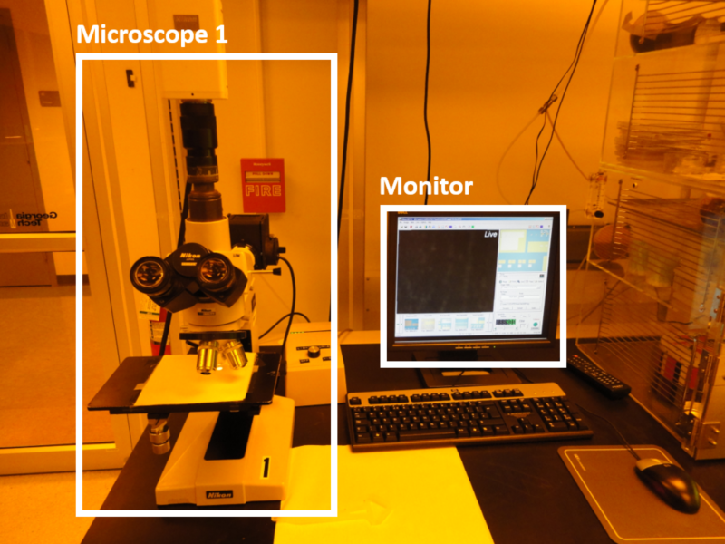 Microscope 1