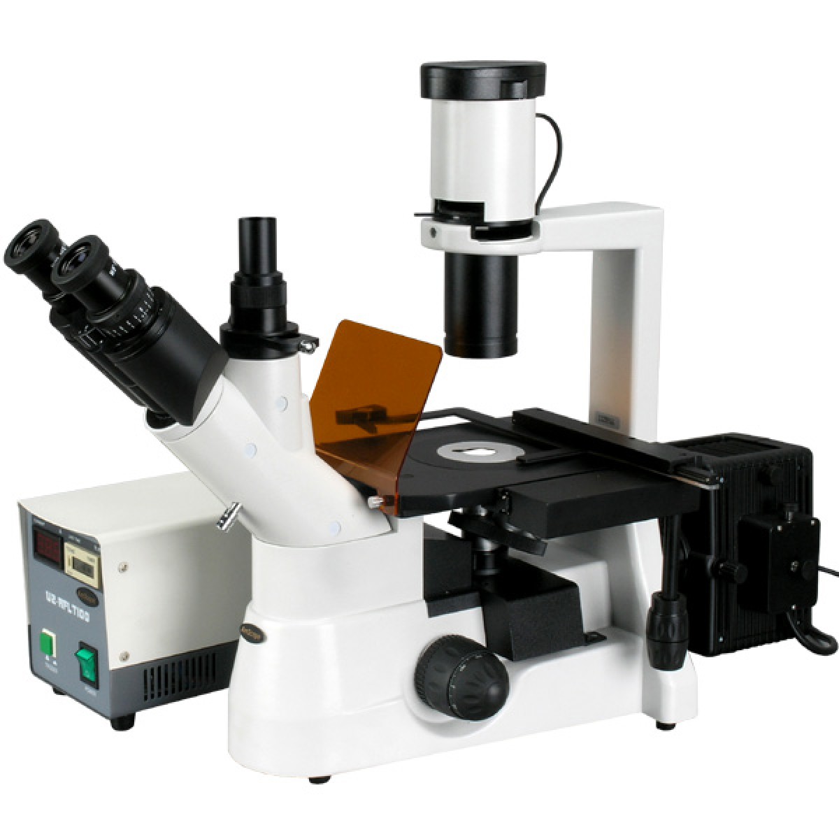 Amscope Inverted IN300TB Microscope